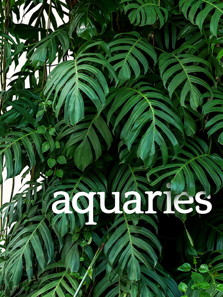 Aquaries